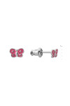 Silver earrings S-763-Em46-E