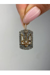 Colgante de plata S-957_5-P