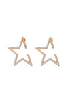 Gold earrings G-300-01-E