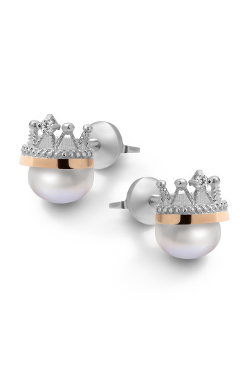 Silver earrings S-010_1-01-E