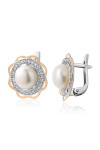Silver earrings S-122_1-01-E