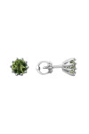 Silver earrings S-308-Pd35-E