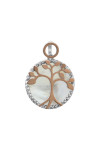 Colgante de plata S-511_1-Pr01-P